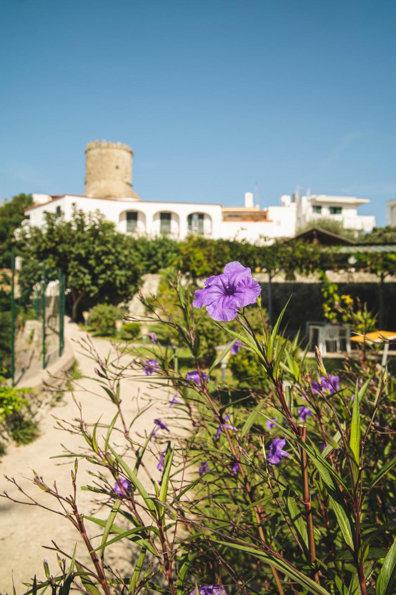 Victoria Park Resort Ischia Eksteriør billede